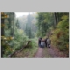 07_Durch den herbstlichen Wald.jpg